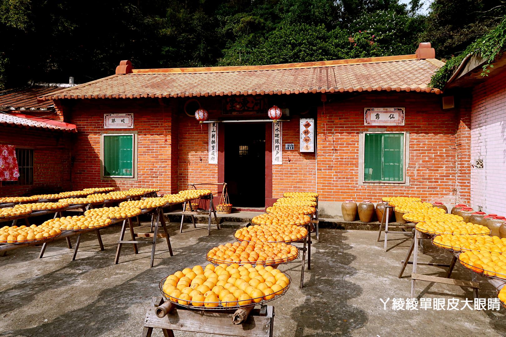 新竹旅遊景點推薦！新埔味衛佳柿餅觀光農場，一起來捏柿餅、玩柿染！