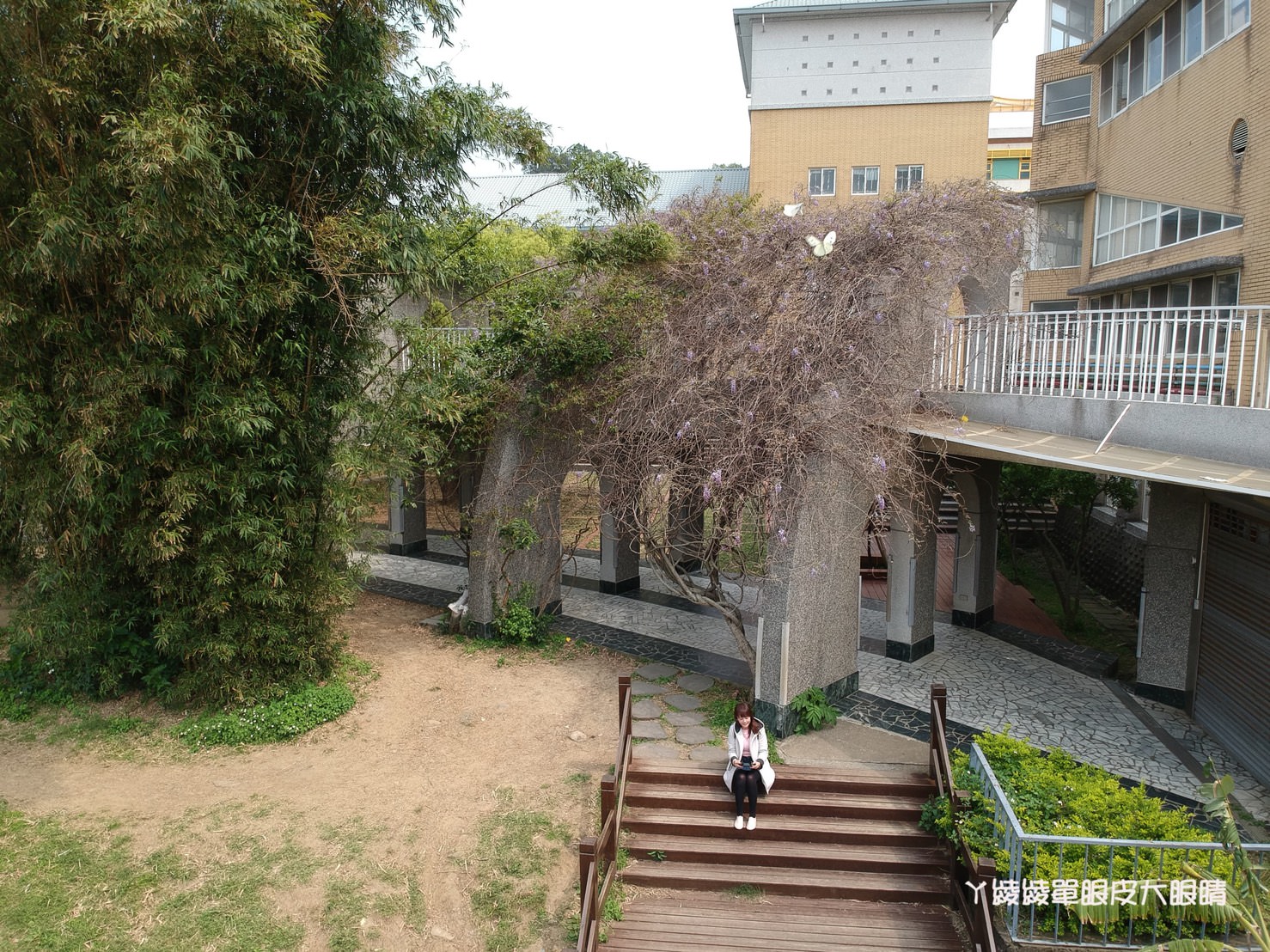 紫藤花浪漫來襲！新竹免費欣賞夢幻紫藤花海的旅遊景點，還有兩層樓高的彩色瀑布溜滑梯