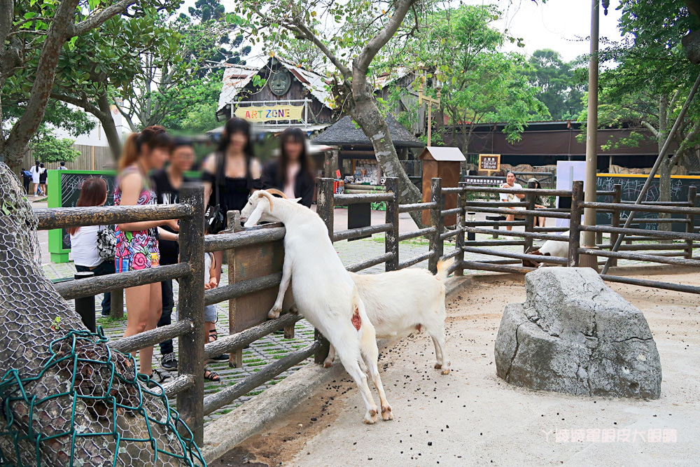 新竹關西旅遊景點，獅子王中的丁滿來到六福村主題遊樂園了！