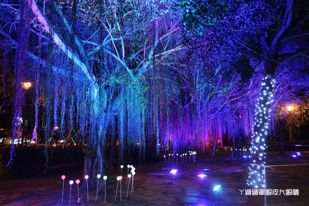 竹北聖誕節點燈活動！南瓜車、玫瑰花海超好拍，15日在文化公園亮相！