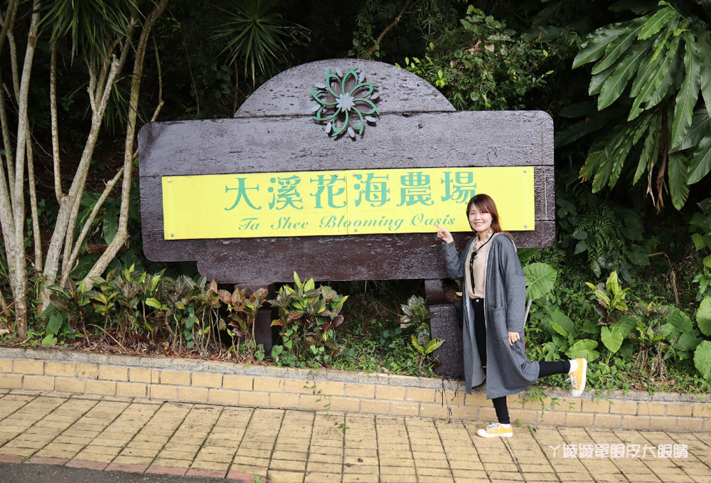 桃園旅遊景點推薦大溪花海農場，一起來找巨型摩艾石像跟Hana花花熊花田