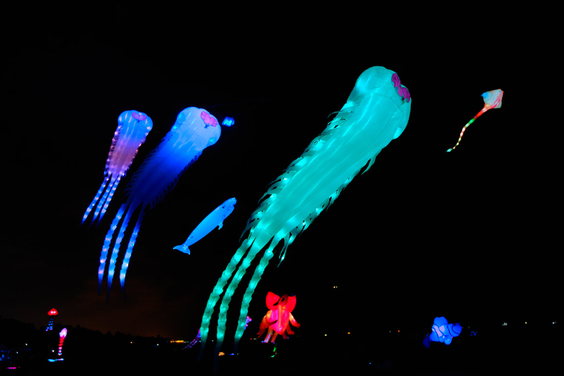 2023新竹市國際風箏節！全球最大的30米巨型鯨魚風箏在新竹，國際風箏節接駁車交通停車資訊
