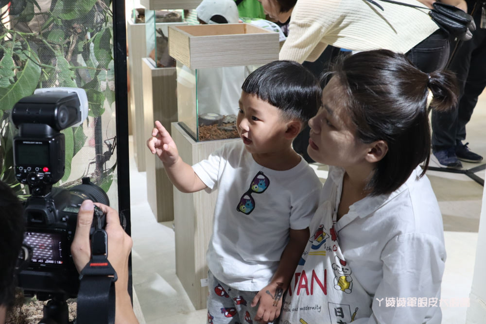 新竹市立動物園正式開園！新竹動物園開放時間、園區導覽、入園門票、停車接駁車交通資訊懶人包