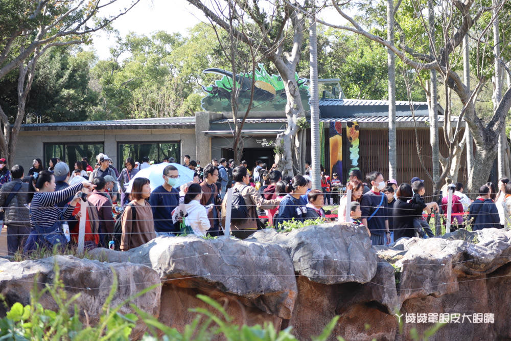 新竹市立動物園正式開園！新竹動物園開放時間、園區導覽、入園門票、停車接駁車交通資訊懶人包