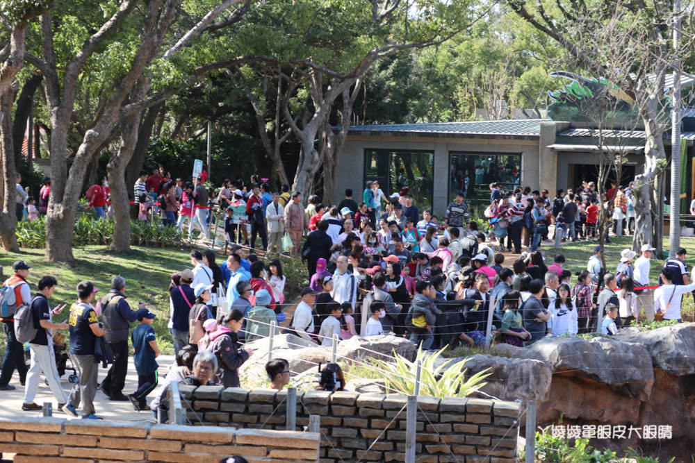 新竹市立動物園正式開園！新竹動物園開放時間、園區導覽、入園門票、停車接駁車交通資訊懶人包