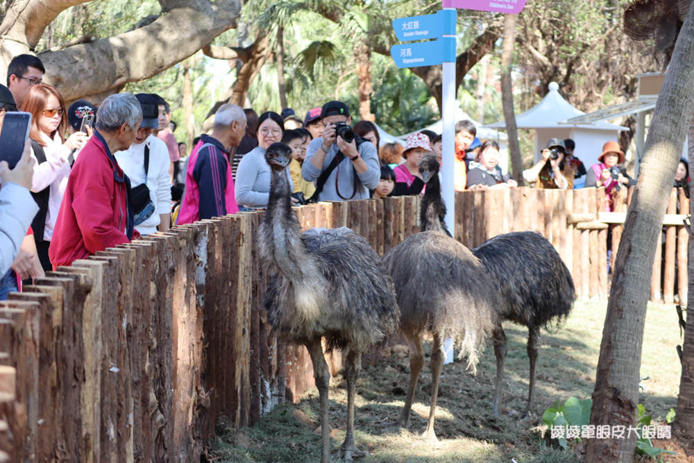 新竹市立動物園正式開園！新竹動物園開放時間、園區導覽、入園門票、停車接駁車交通資訊懶人包