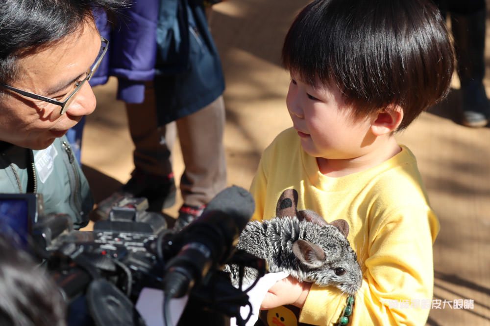 新竹市立動物園正式開園！新竹動物園開放時間、園區導覽、入園門票、停車接駁車交通資訊懶人包