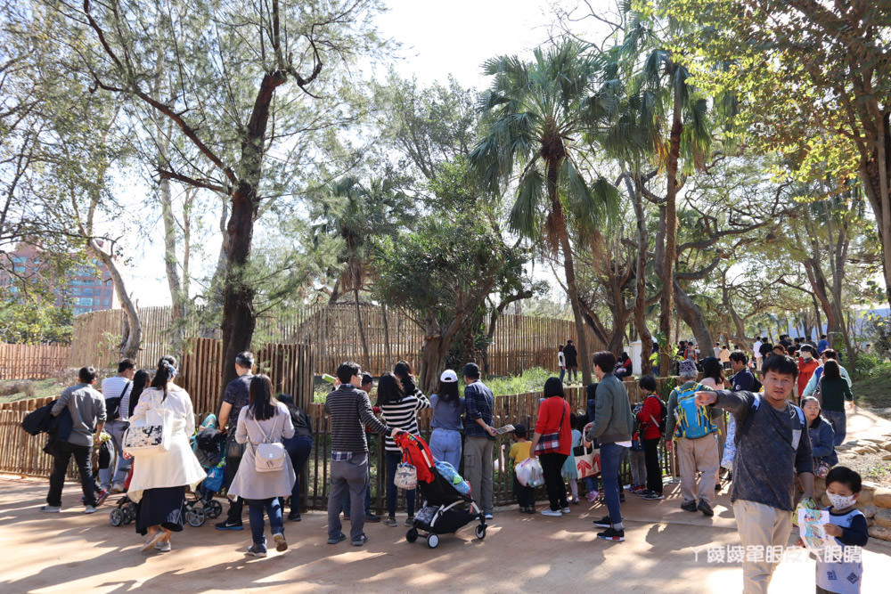 新竹市立動物園正式開園！新竹動物園開放時間、園區導覽、入園門票、停車接駁車交通資訊懶人包