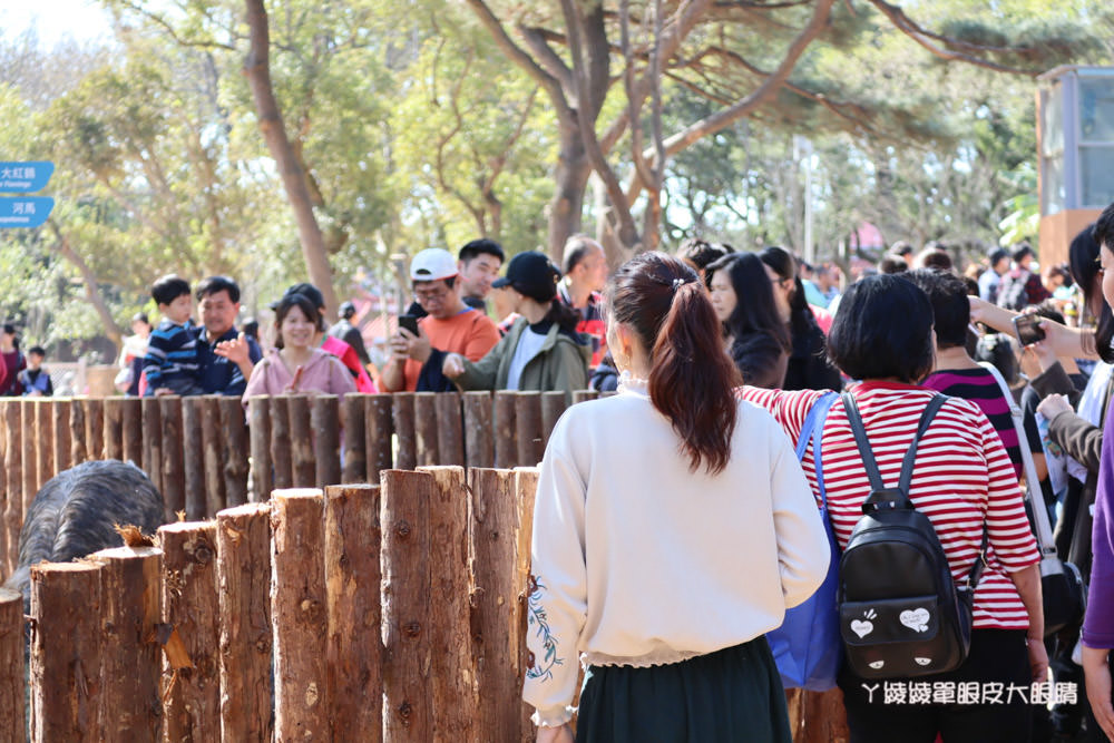 新竹市立動物園正式開園！新竹動物園開放時間、園區導覽、入園門票、停車接駁車交通資訊懶人包