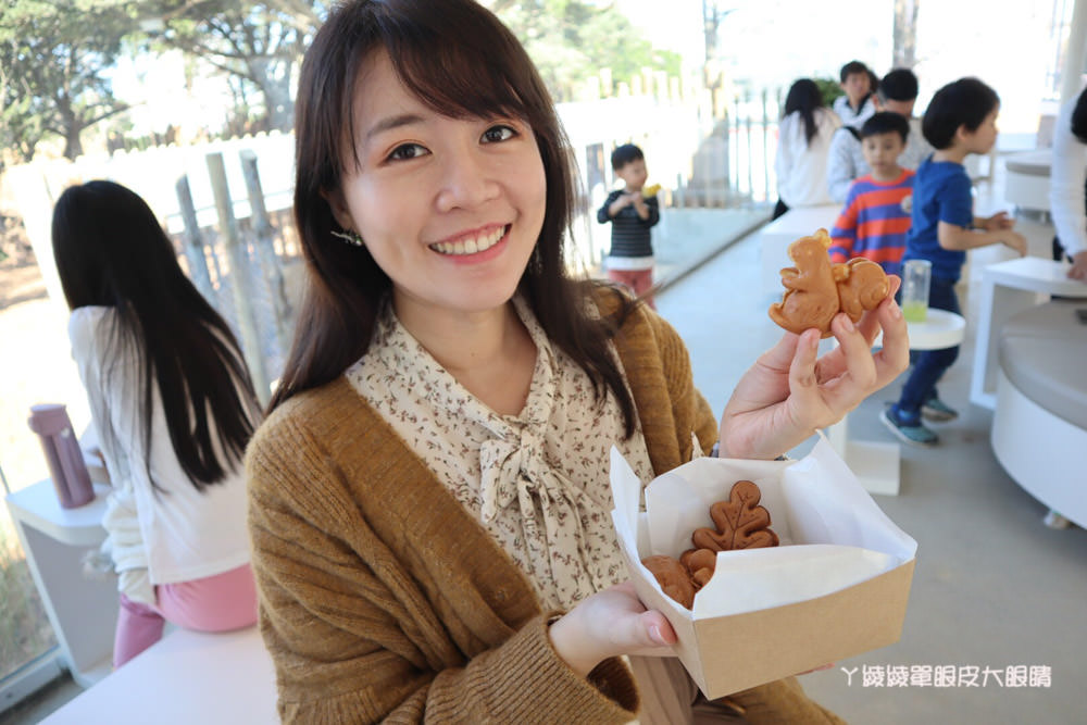 新竹市立動物園正式開園！新竹動物園開放時間、園區導覽、入園門票、停車接駁車交通資訊懶人包