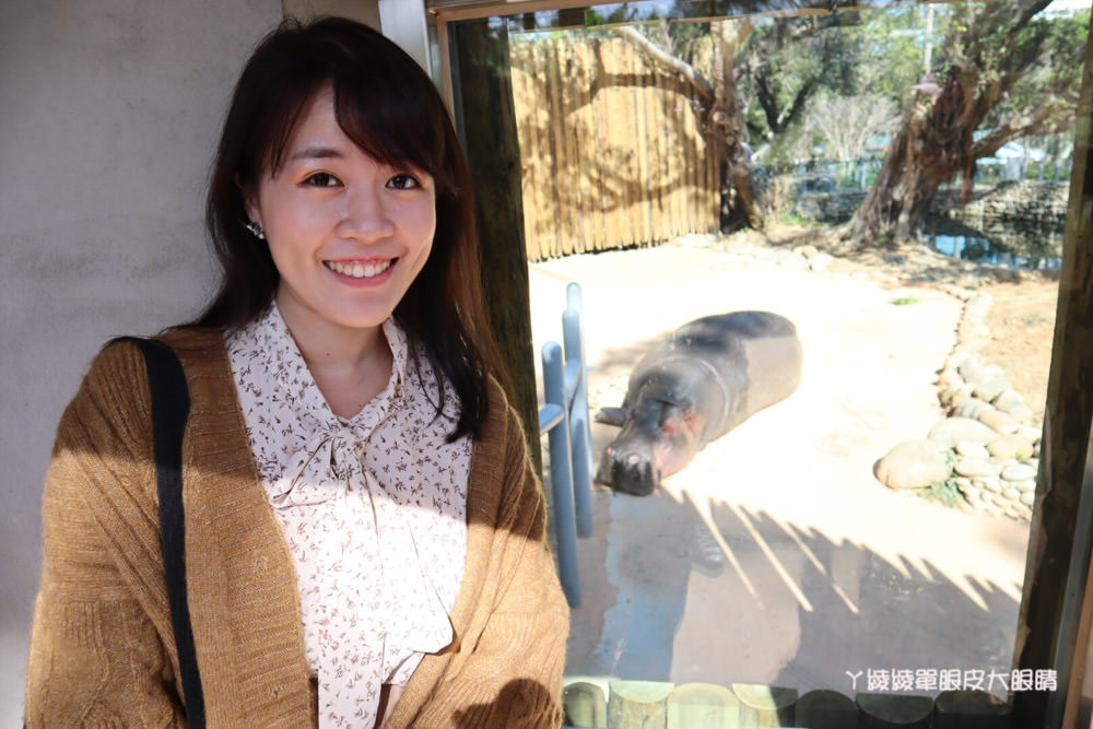 新竹市立動物園正式開園！新竹動物園開放時間、園區導覽、入園門票、停車接駁車交通資訊懶人包