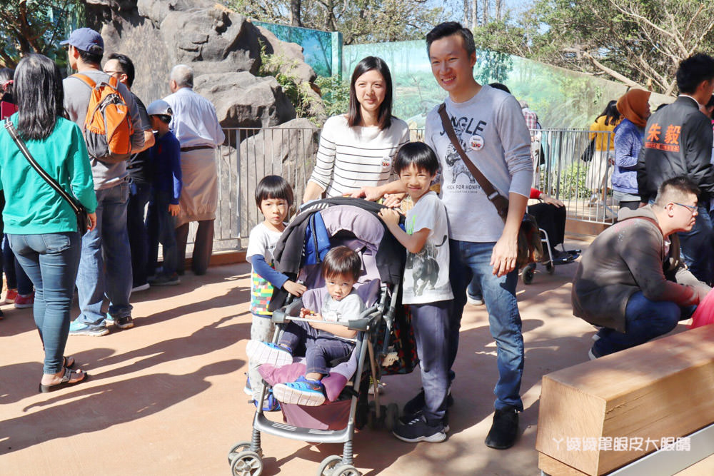 新竹市立動物園正式開園！新竹動物園開放時間、園區導覽、入園門票、停車接駁車交通資訊懶人包